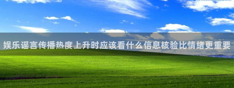 最新网络资讯